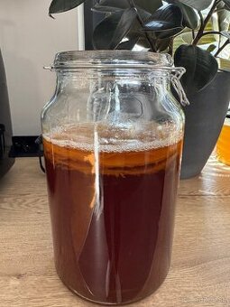 Kombucha násada so štartovacím výluhom