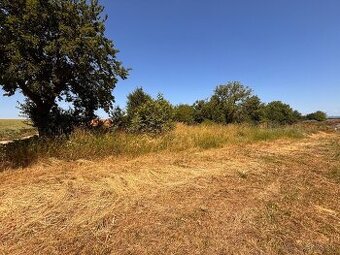 Pozemok pri Vrábľoch (k.ú: Vieska nad Žitavou ) na predaj