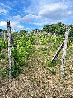 Slnečný rekreačný pozemok aj na trvalé bývanie, Staré Levice
