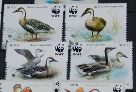 Poštové známky - Vtáčia ríša 260