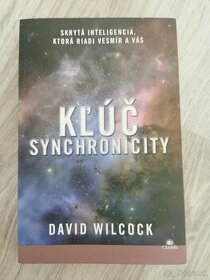 Kľúč synchronicity, David Wilcock