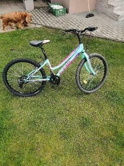Predám CTM Mony 24"