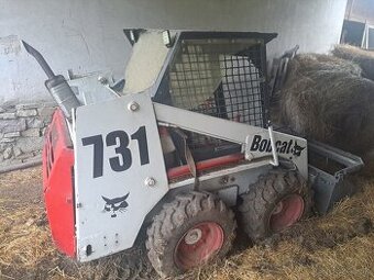 Bobcat