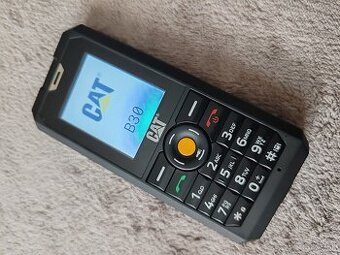 CAT B30
