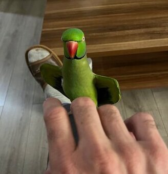 Alexander Malý kľudný krotký.