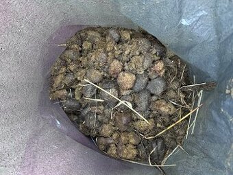 Konský hnoj - vrecovaný