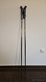 Lyžiarske palice