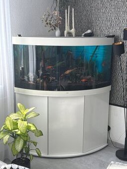 Akvárium Juwel Trigon 350 s príslušenstvom