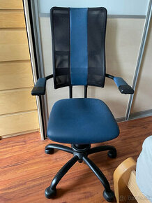 Predám ergonomickú stoličku Spinalis HACKER