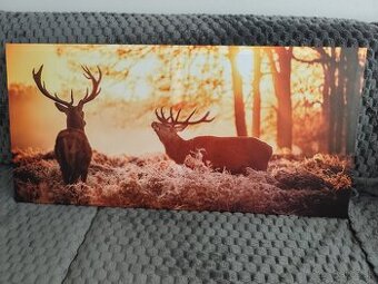 Predám obraz jeleňa