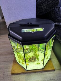 Predám 8 uhoľníkové zabehnuté akvárium 120 litrov