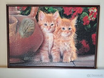 Puzzle obraz mačky