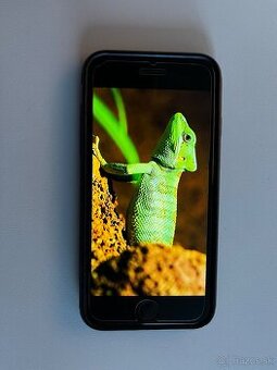 iPhone SE2020