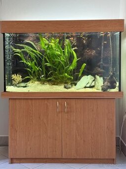 Akvarium 420l s komplet prislusenstvom a rybkami