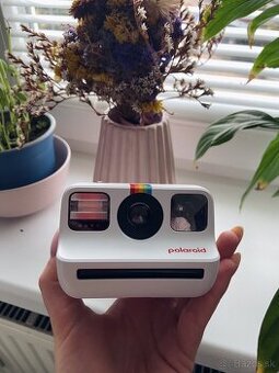 Polaroid GO