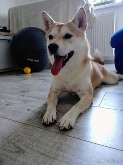 Fenka Yuki