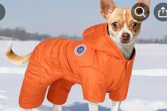 Zimná bunda pre psika