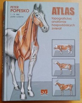 Atlas topografickej anatómie hospodárskych zvierat