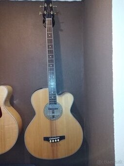 Takamine GB72CE