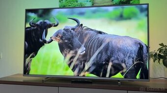 LED Philips 55’’