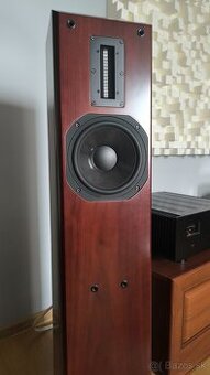 Aurum Cantus M-103 (Rosewood)