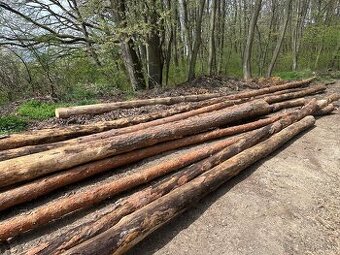 Predám sucháre makké drevo borovica