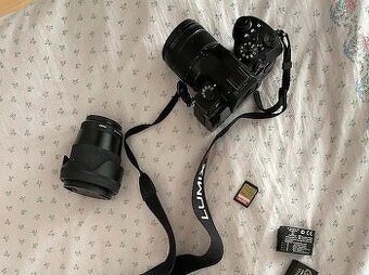 Bezzrkadlovka Panasonic Lumix DC-G91