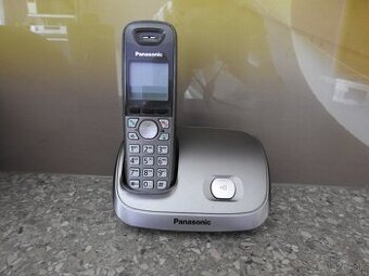 Panasonic