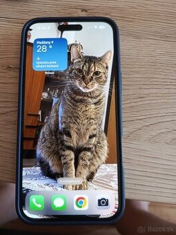 IPhone16 Plus