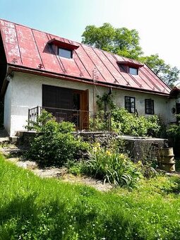Historická chata s vinohradom v obci Hrušov