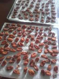 Domáce sušené marhule.