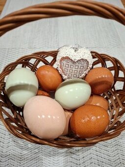 Predám domáce vajíčka