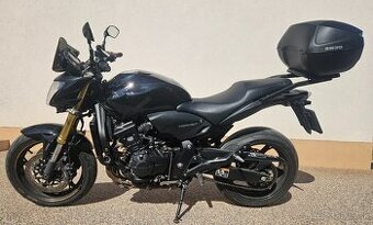 Honda Hornet cb600 special edition