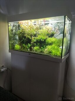 Juwel Rio 125