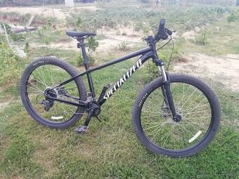 Specialized rockhopper L 29