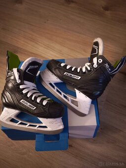 Korcule Bauer XLS 33.5