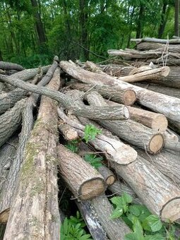 Metrovica, štiepané drevo. Suché tvrdé palivové drevo.