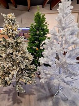 ✨ Predaj krásnych vianočných stromčekov🎄✨ - 1