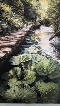 Fotoobraz zo Slovenského raja, oblasť Tomášovská Belá
