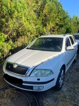 Rozpredám na diely Škoda Octavia II 1.9 TDI 77 kw 6 st autom