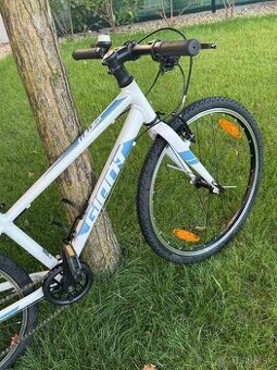 Ľahký detský bicykel Giant ARX 24"