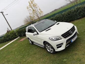 Mercedes Benz ML 250 4MATIC