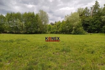Na predaj rozľahlý pozemok PTIČIE – blízko Humenného