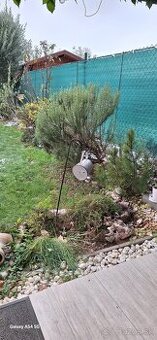 PREDAJ - 4-izbový RD - Dunajská Lužná