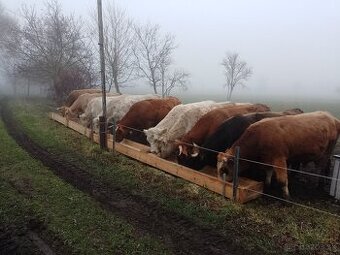 Hľadáme šikovného a pracovitého pomocníka na farmu a do vino