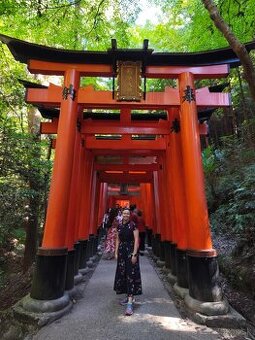 Angličtina online- individuálne podľa Vaších potrieb, A1-C1