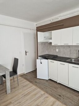 1,5  izb. byt v rodinnom dome  so záhradou