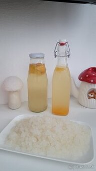 Tibi krištáliky ( vodný kefír)