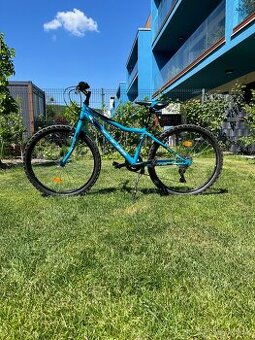 Detský bicykel CTM Berry 1.0 24´´