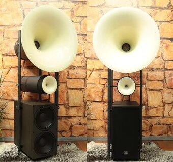 Avantgarde Acoustic Duo Horn